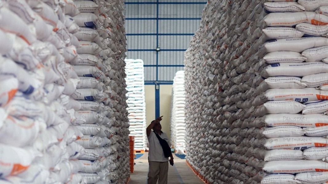 BPS Prediksi Produksi Beras Nasional Melimpah Capai 34,77 Juta Ton Sepanjang 2025