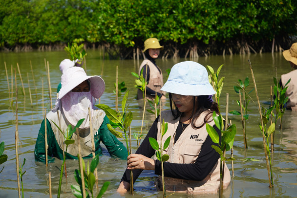 KAI Logistik: Penanaman Mangrove di Pantai Tambak Sari