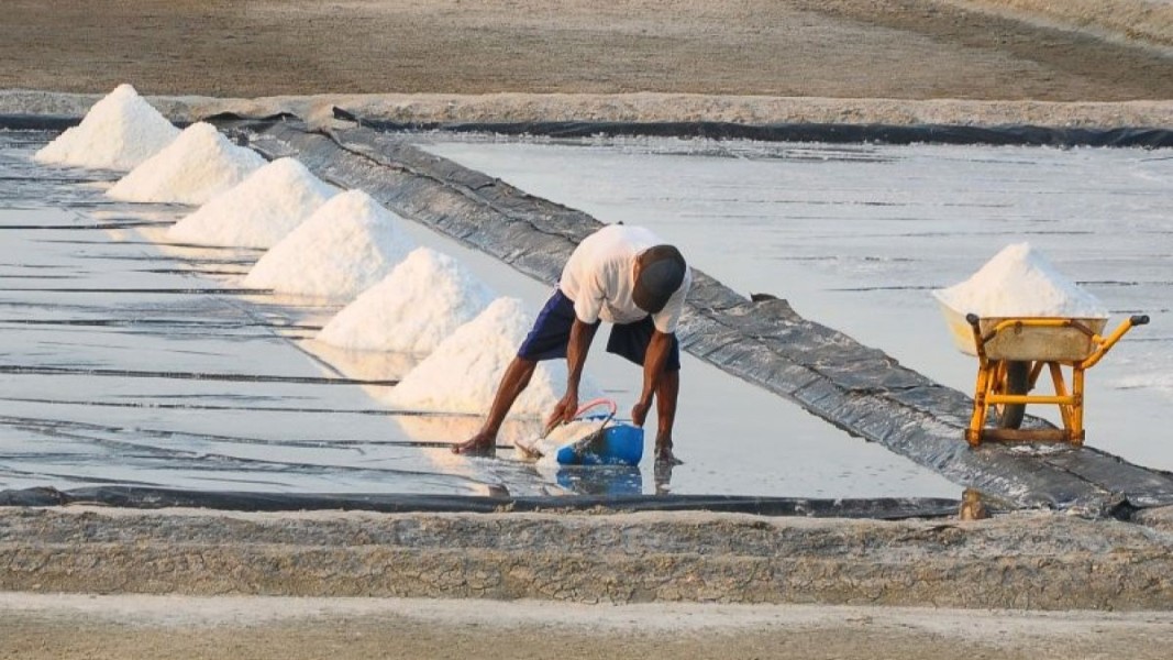 KKP Integrasikan Teknologi Dongkrak Produktivitas Tambak Garam
