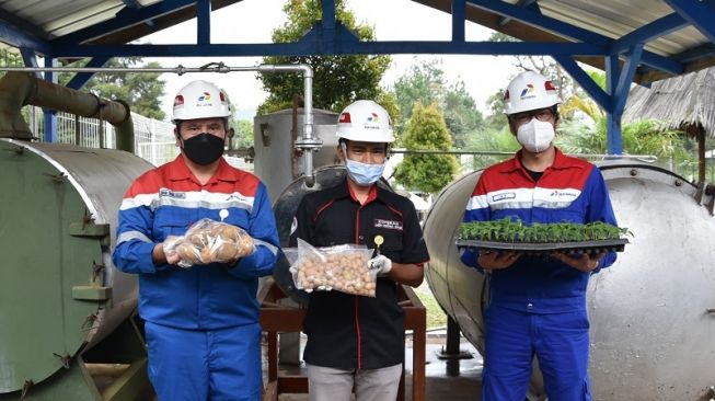 Panas Bumi Jadi Kunci Sukses Inovasi Pertanian