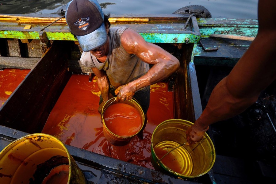 India Bersiap Naikkan Pajak Impor Minyak Nabati untuk Kedua Kali demi Menunjang Petani Lokal