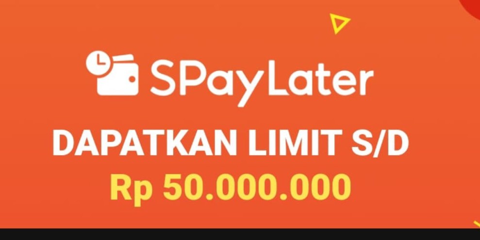 10 Aplikasi PayLater dengan Limit Besar & Tips Bijak Menggunakannya