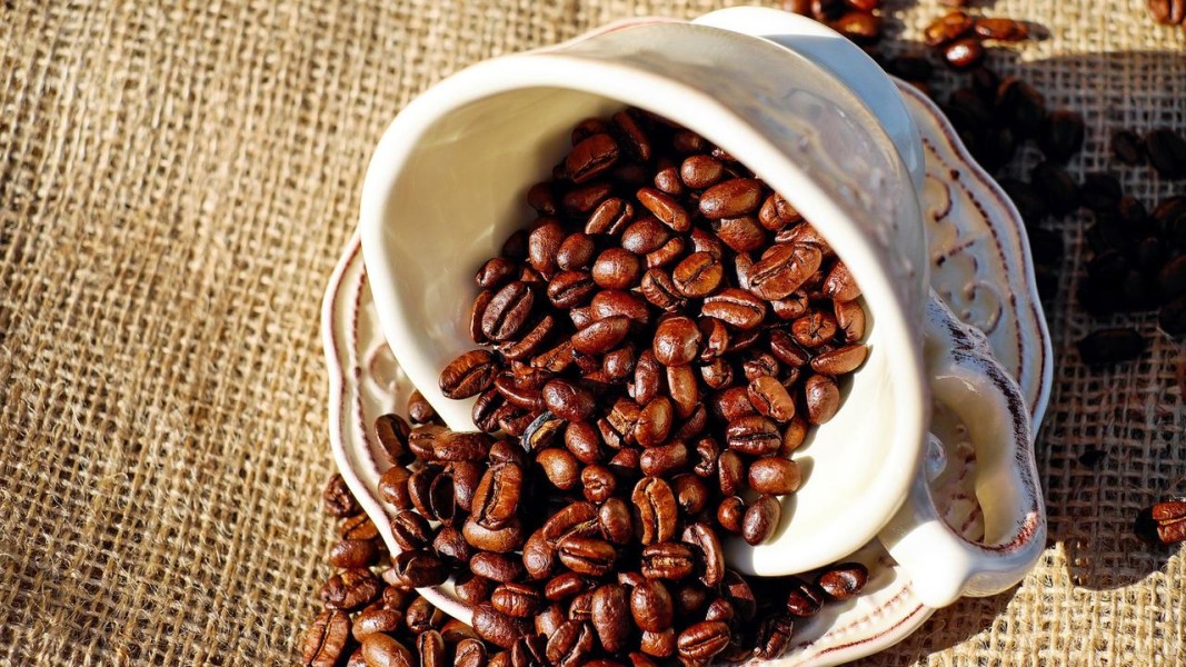 Negara Eropa Masih Menguasai Konsumsi Kopi Per Kapita Secara Global