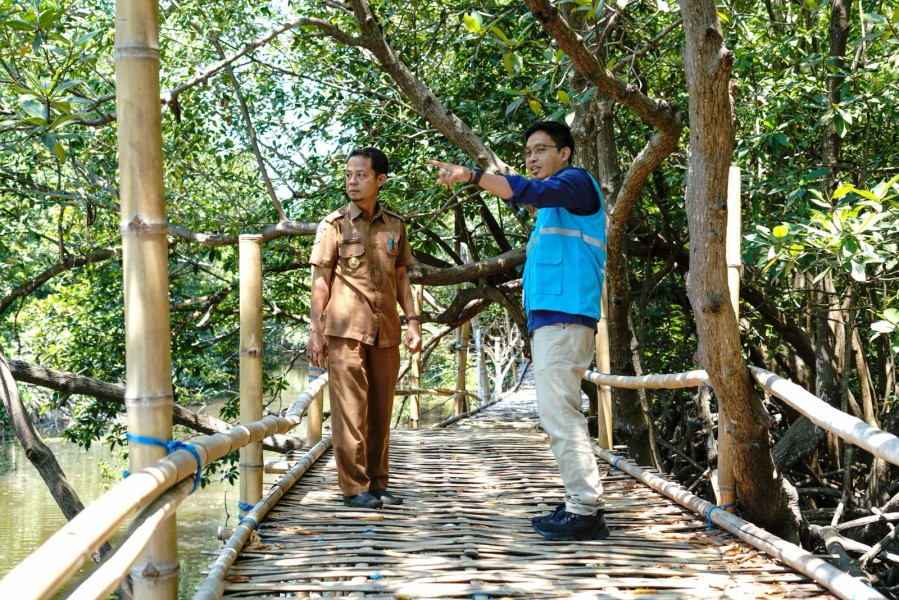 Program Bantuan Pembibitan Yang Dilaksanakan Bersama PLN UIP Nusra Menghidupkan Kembali Hutan Mangrove Sebagai Sumber Kehidupan Dan Wisata Alam