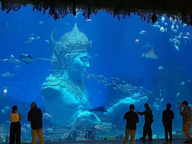 Wisata Marine Safari Bali: Dari Penguin hingga Hiu