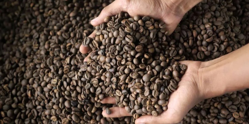 Tarif Nol Persen Amerika Buka Peluang Ekspor Kopi Indonesia