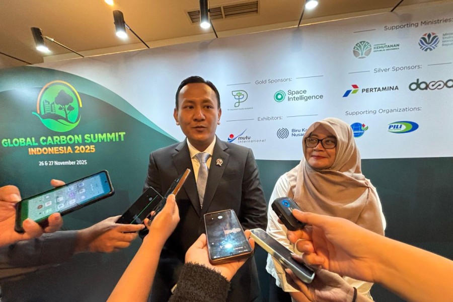 Indonesia Dorong Skema Karbon Untuk Rehabilitasi Lahan Kritikal