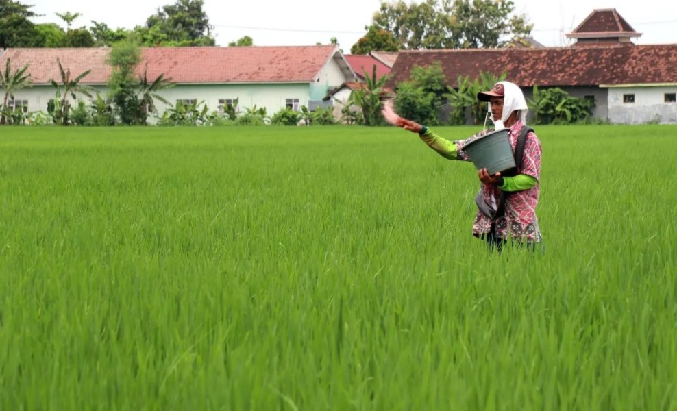 Pupuk Nitrogen Ramah Lingkungan Berbasis Teknologi Plasma Menjadi Terobosan Baru Peneliti BRIN
