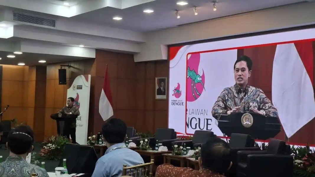 Kemenkes Ingatkan Risiko Dengue Di Samping Kebutuhan Sembako Musim Hujan