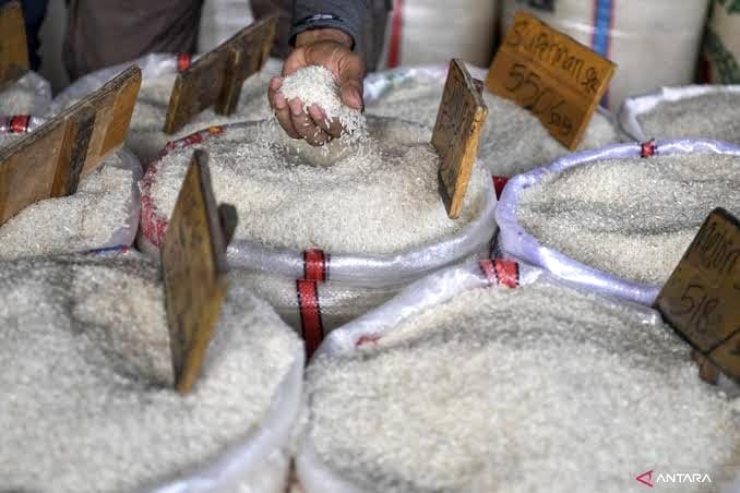 Harga Pangan Hari Ini 8 Oktober 2025: Beras Turun, Ikan Naik