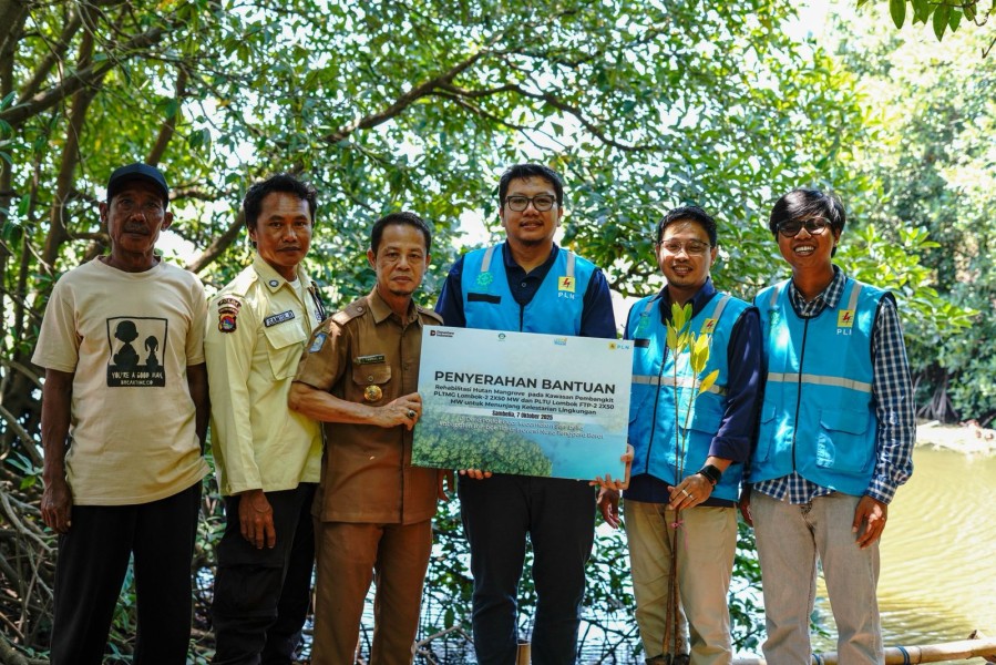 PLN UIP Nusra Menjadi Mitra Strategis Dalam Menjalankan Program Bantuan Pembibitan Mangrove Yang Mendukung Ketahanan Lingkungan Pesisir Lombok
