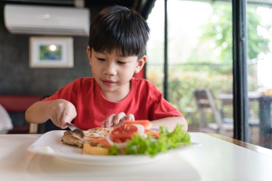 Pentingnya Variasi Protein dalam Mendukung Tumbuh Kembang Anak Secara Optimal