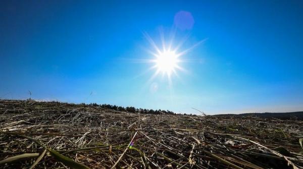 BMKG Identifikasi Tanah Merah Papua sebagai Wilayah Terpanas Selama Musim Kemarau 2025, Suhu Tembus 37 Derajat Celsius