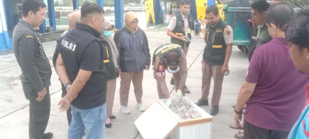 Tikus, Kelelawar, dan Musang Siap Konsumsi Diamankan di Pelabuhan Penyeberangan