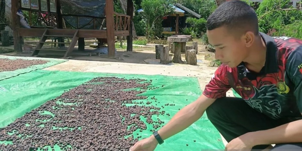 Pelatihan Petani di Kaltim Dorong Peningkatan Nilai Tambah Sektor Perkebunan
