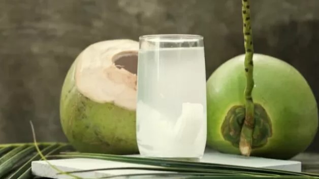 Manfaat Air Kelapa untuk Hidrasi, Kesehatan Ginjal, dan Stamina Tubuh Harian