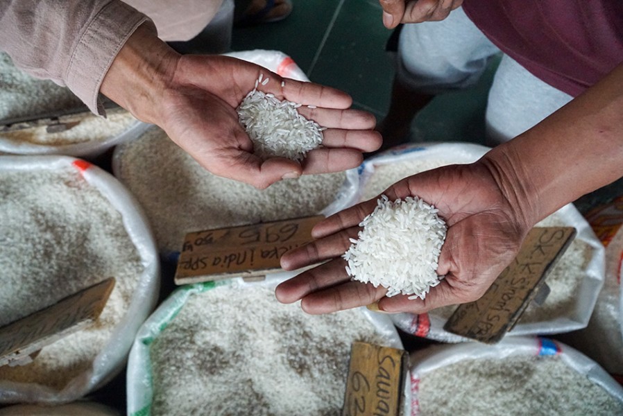 Produksi Beras Nasional Awal 2026 Diproyeksi Meningkat, BPS Catat Tembus 10,16 Juta Ton