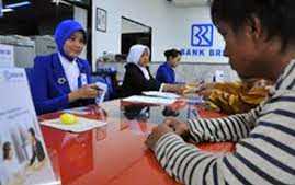 KUR Mikro vs KUR Kecil BRI 2025: Pilihan Modal Usaha Tanpa Jaminan hingga Rp50 Juta