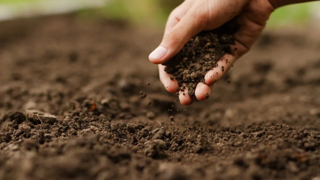 Pemegang HGU Wajib Menjaga Lingkungan Demi Kelestarian Nasional