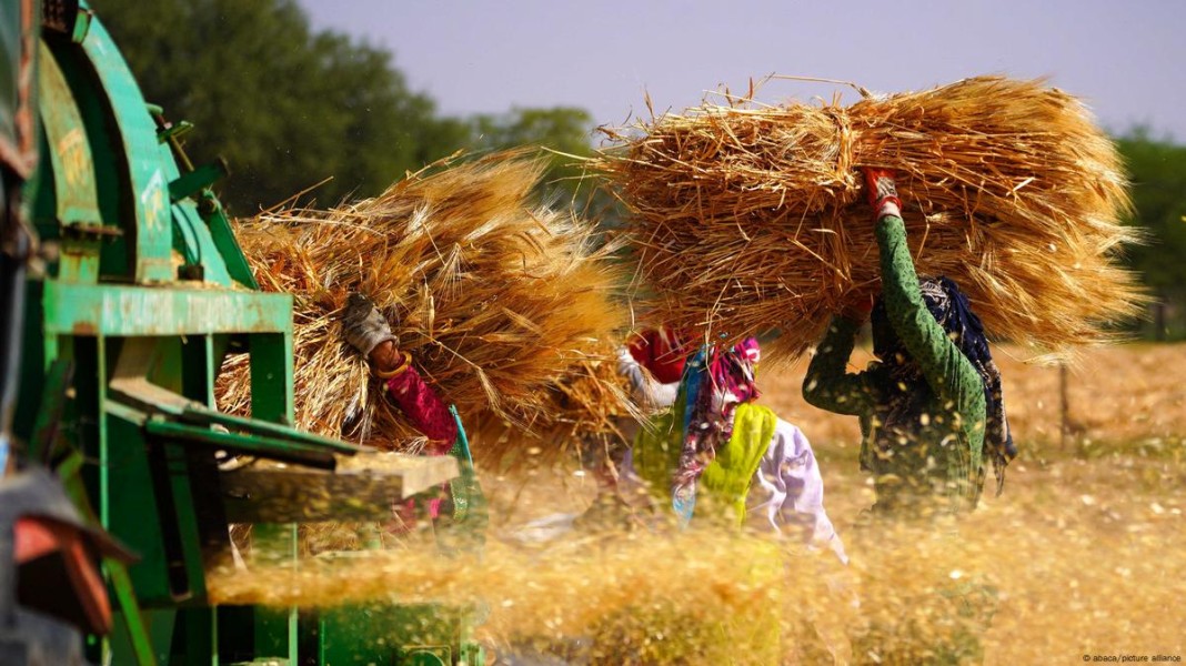 Petani Dihantam Cuaca Ekstrem, Pemerintah Diminta Tidak Lepas Tangan