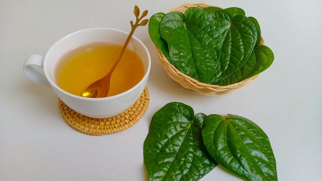 Kolesterol Tinggi Bisa Dibantu Herbal, Ini 8 Daftar Rebusan Daun Alaminya