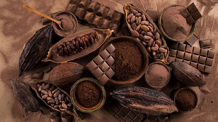 Manfaat Flavonoid Cokelat dalam Merawat Kulit Tetap Muda