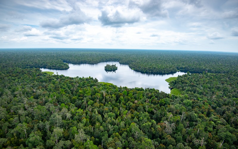 Strategi BRIN Terapkan Nature-Based Solutions Tingkatkan Kondisi Gambut Sumsel