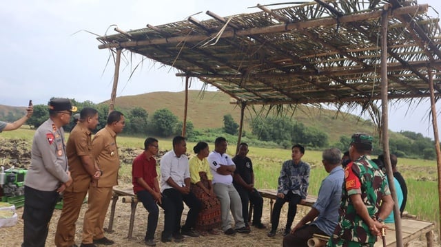 Gibran Rakabuming Raka Kunjungi Petani di Sikka, Janji Perbaiki Irigasi dan Ketersediaan Pupuk