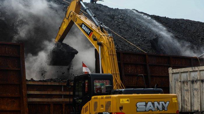 Harga Batu Bara Menguat, Namun Tekanan Koreksi Mulai Mengintai