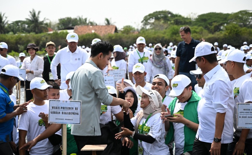 Kolaborasi Hijau: Gibran Tanam Mangrove Bersama Pegiat Lingkungan Muda
