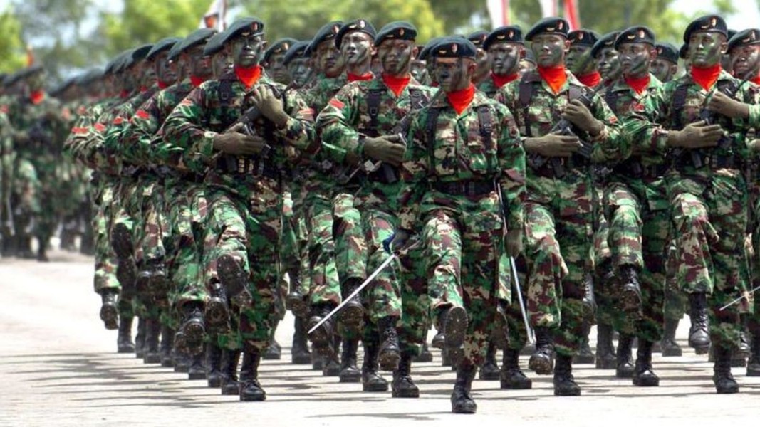 TNI Siap Berperan Aktif dalam Misi Perdamaian Dunia Demi Stabilitas Global