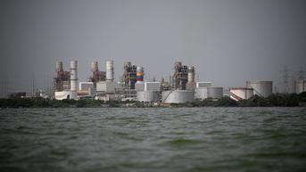 Venezuela Kaya Sumber Daya Alam Tak Terduga Selain Minyak Cadangan