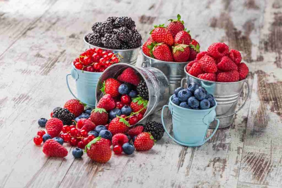 Ragam Jenis Buah Berry yang Perlu Diketahui dan Manfaatnya
