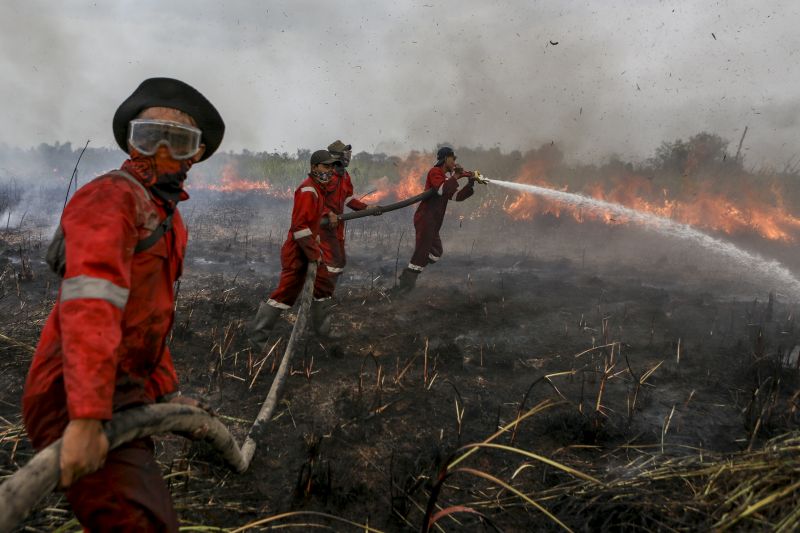 Pemerintah Berhasil Tekan Karhutla Nasional hingga Separuh Luasannya