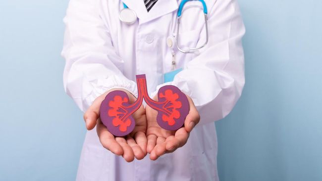 Peran Dokter Spesialis Ginjal dalam Menangani Beragam Penyakit