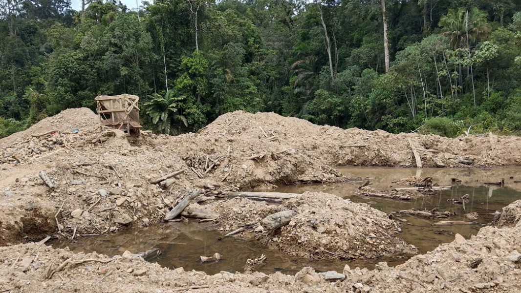 Sungai Batang Bangko Tercemar Akibat Pertambangan Emas Ilegal di Hulu
