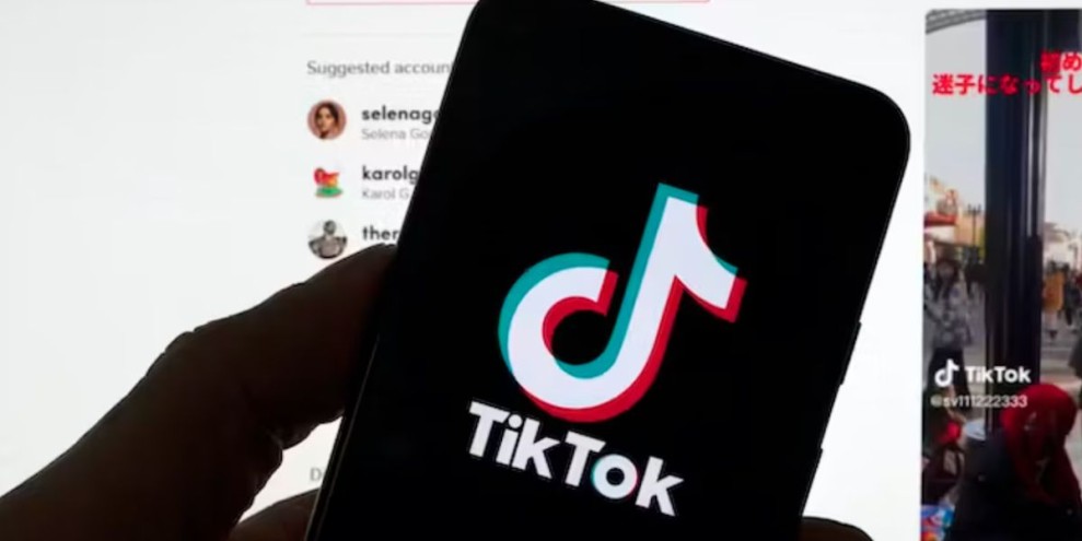 Paus TikTok Berapa Rupiah? Ini Nilai Gift TikTok Terbaru 2025