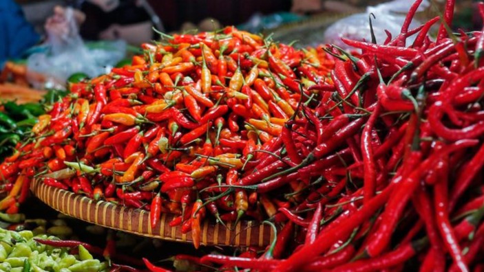 Update Harga Pangan Nasional Februari 2026: Cabai Rawit dan Daging Sapi Masih Jadi Sorotan Utama