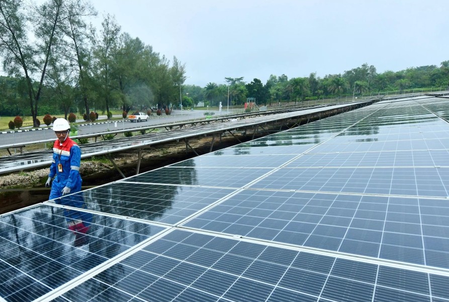 PLTS Rokan Pertamina Hemat Biaya dan Kurangi Emisi Karbon Secara Signifikan