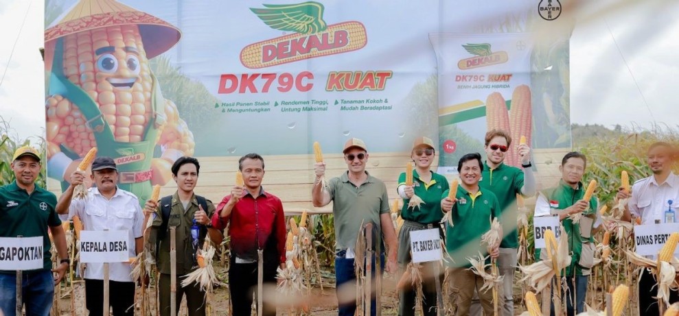 Bayer Dukung Petani Jawa Tengah Tingkatkan Hasil Panen Jagung Berkualitas