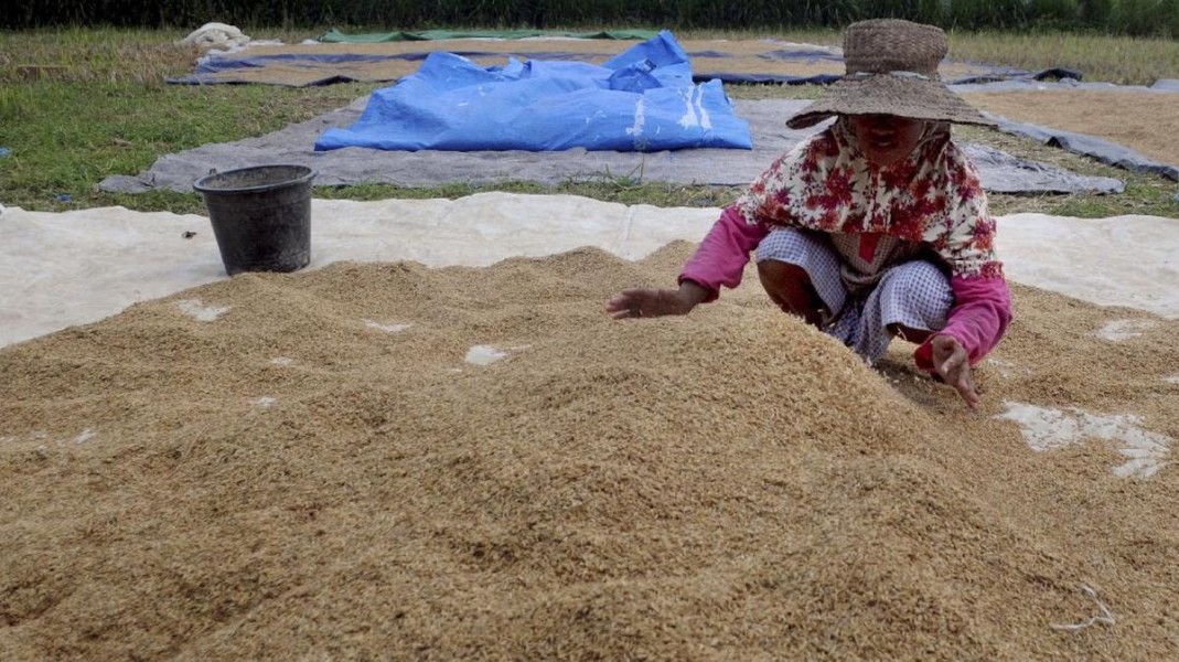 Bulog Ajak Babinsa Serap Gabah dan Beras Petani: Komisi IV FPKS Saadiah Uluputty Ingatkan Pentingnya Kebijakan Tanpa Tekanan