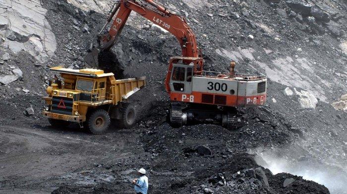 Pemerintah Dorong Koperasi Perkuat Peran Strategis dalam Pengelolaan Tambang Nasional