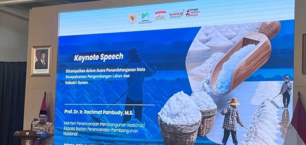 Indonesia Kembangkan Institut Garam Nasional untuk Swasembada