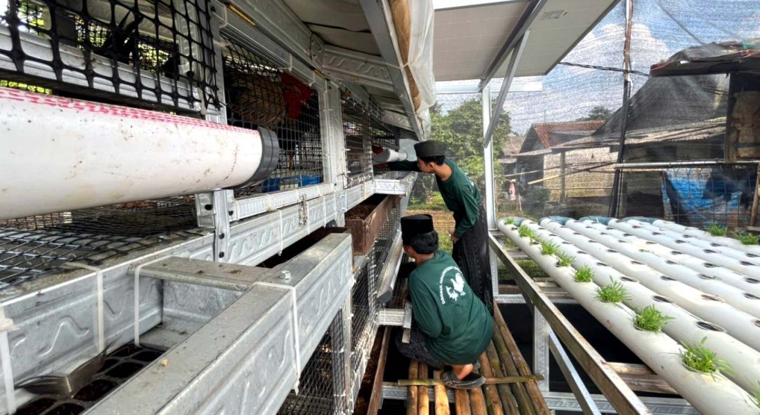 Pesantren Daarul Hawariyyin Jadi Contoh Model Pertanian Terpadu Berkelanjutan