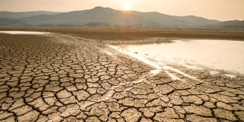 BMKG Ingatkan Masyarakat Jatim Siap Hadapi Puncak Kekeringan Pada Agustus