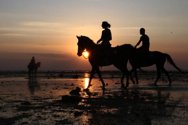 Menikmati Pesona Gili Trawangan dengan Wisata Berkuda yang Menyenangkan