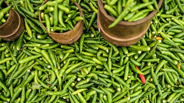 Kabar Baik Warga Jogja Harga 4Jenis Cabai Turun Serentak Hari Ini