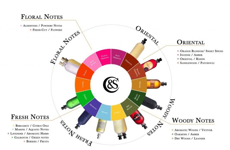 Perfume Notes Finder Memiliki Panduan Lengkap Menemukan Aroma Parfum yang Tepat