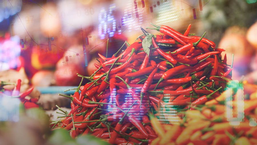 Harga Sembako Nasional Hari Ini Bergerak Dinamis Awal 2026