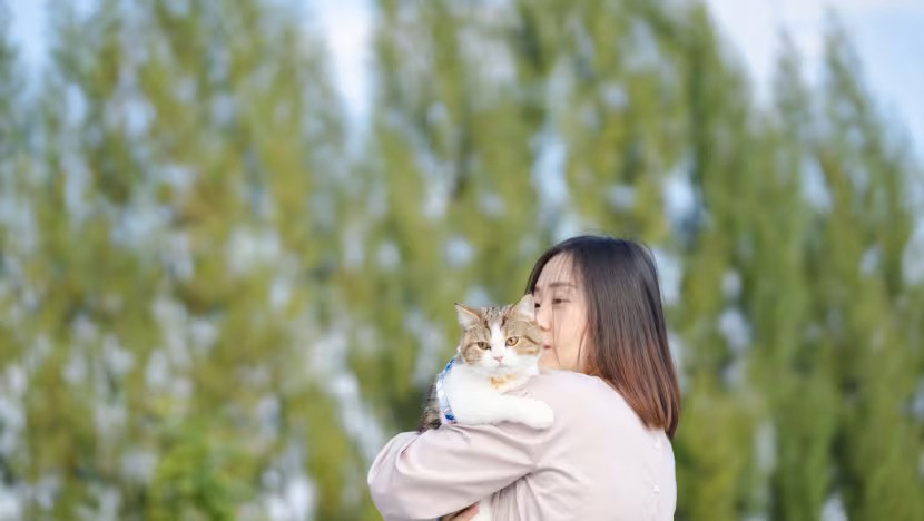 Korea Selatan Kembangkan Wisata Ramah Hewan Peliharaan dengan Panduan Nasional